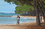 Camping Bi Village in Pula, Croatia