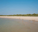 Cavallino in Cavallino, Adriatic Coast