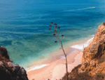 Valverde in Praia de Luz, Algarve