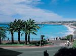 Les Palmiers in Nice, Riviera