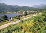 Lochgoilhead Lodges in West Scotland